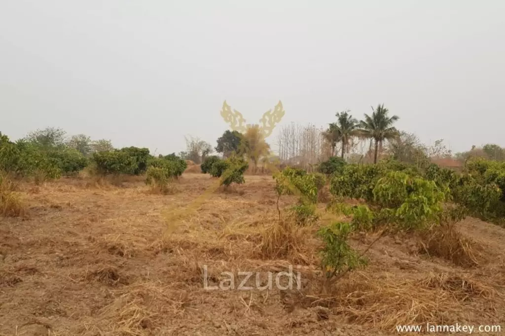 2 -3-79 rai of Land in City for Sale