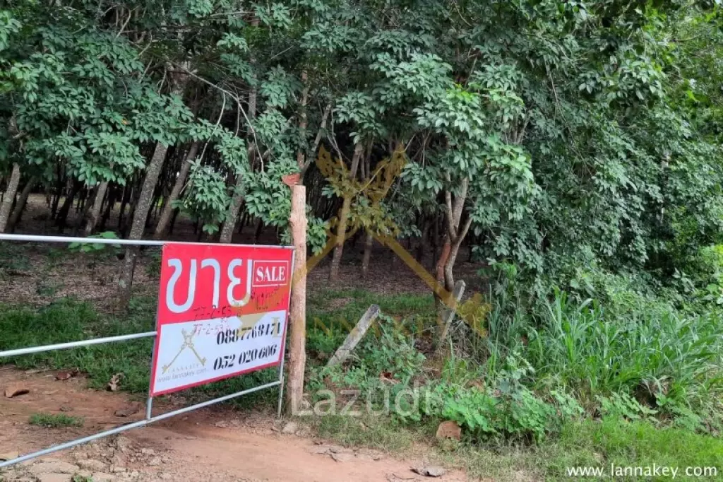 77 rai of Land for Sale in Wiang Chai