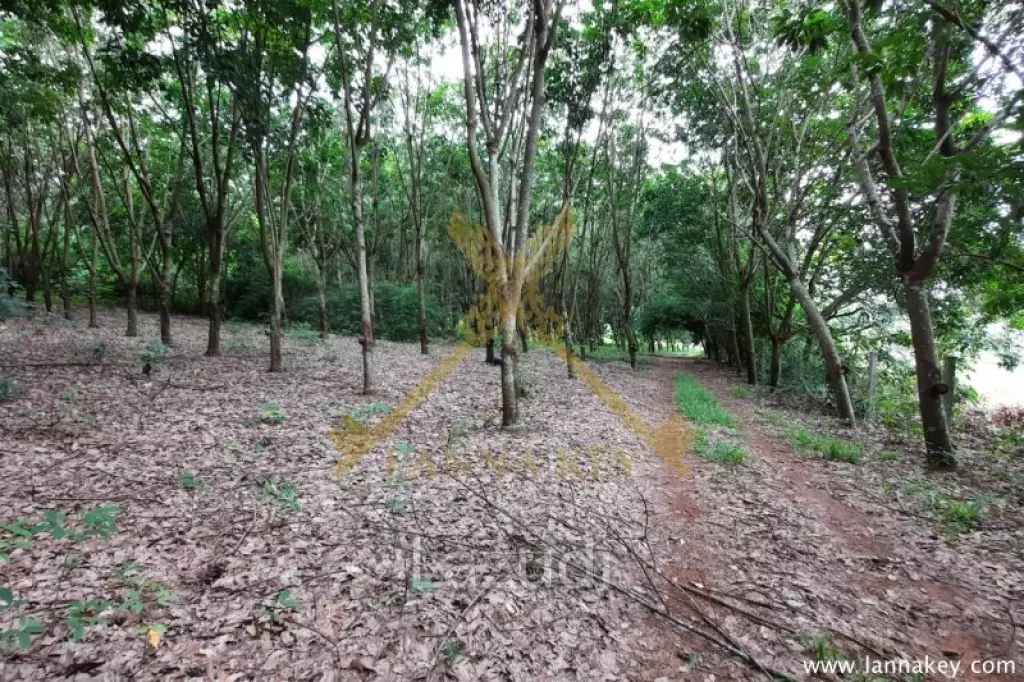 77 rai of Land for Sale in Wiang Chai