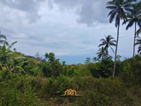 Hot deal of Sea View land taling ngam