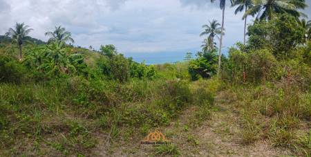 Hot deal of Sea View land taling ngam