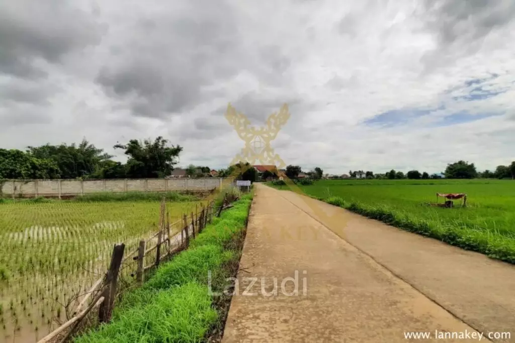 2 Rai of Land with 3 bedrooms House for Sale