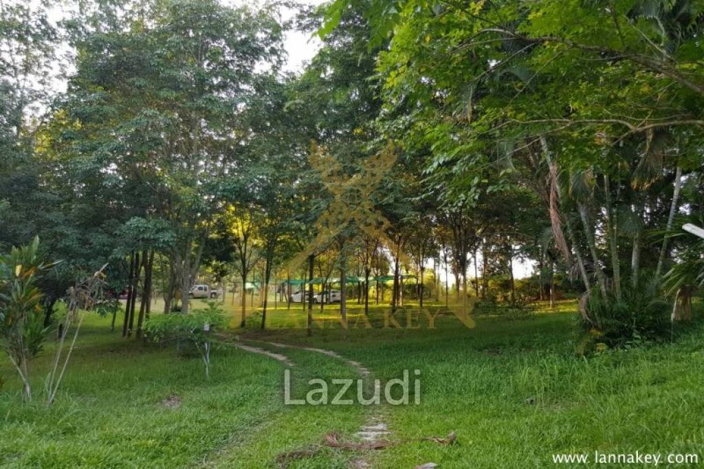 Nature Resort in Mae Sai for Sale