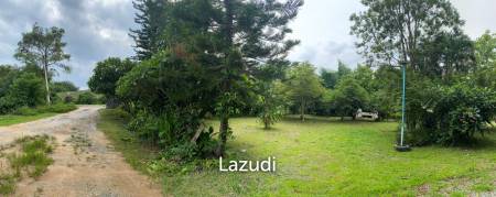 Foreign style house for rent