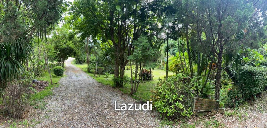 Foreign style house for rent