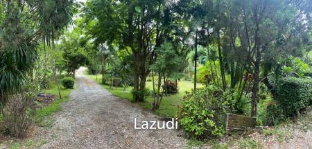 Foreign style house for rent