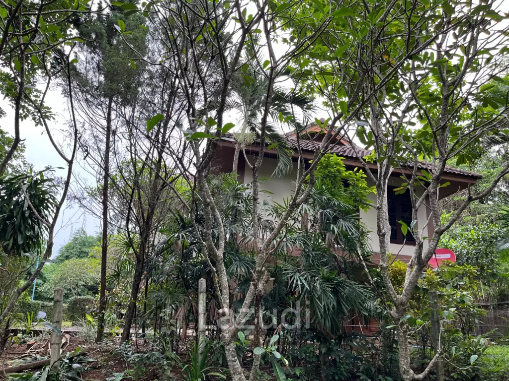 Foreign style house for rent