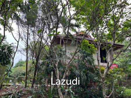 Foreign style house for rent