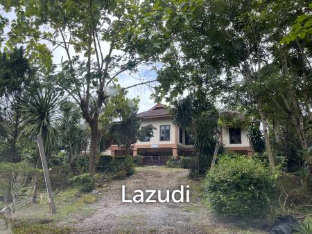 Foreign style house for rent