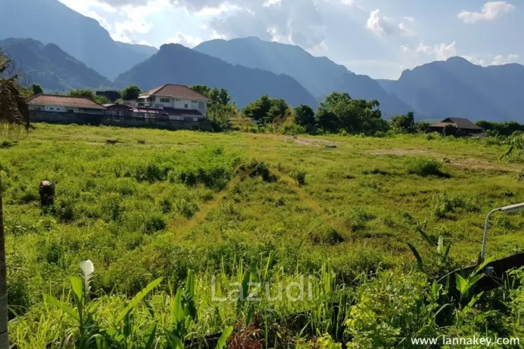 Nice View Land for Sale | Mae Sai