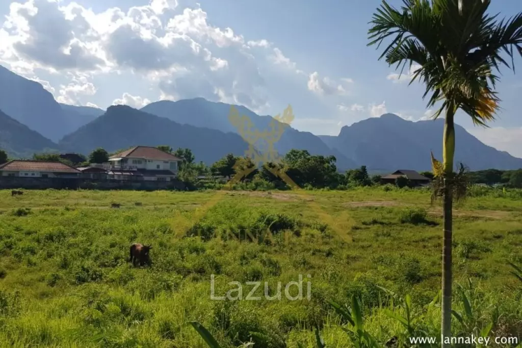 Nice View Land for Sale | Mae Sai