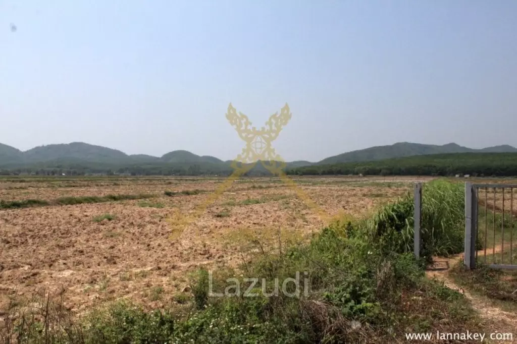 168 Rai of Land in Mae Chan