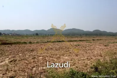 168 Rai of Land in Mae Chan