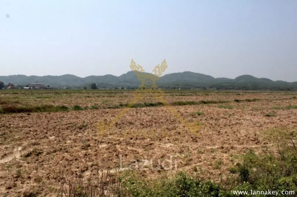 168 Rai of Land in Mae Chan