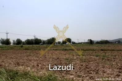 168 Rai of Land in Mae Chan