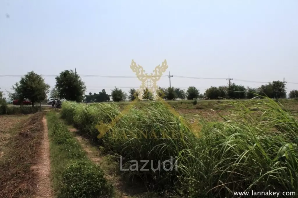 168 Rai of Land in Mae Chan