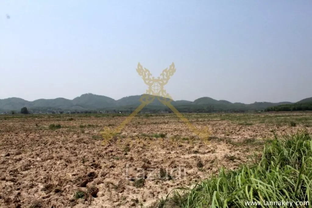 168 Rai of Land in Mae Chan