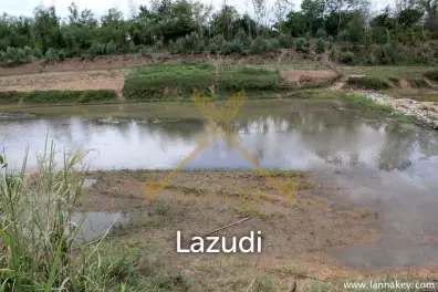120 rai of Land in Chiang Khong for Sale