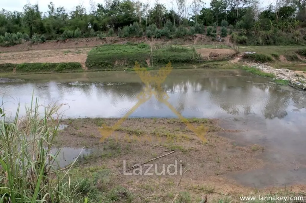 120 rai of Land in Chiang Khong for Sale