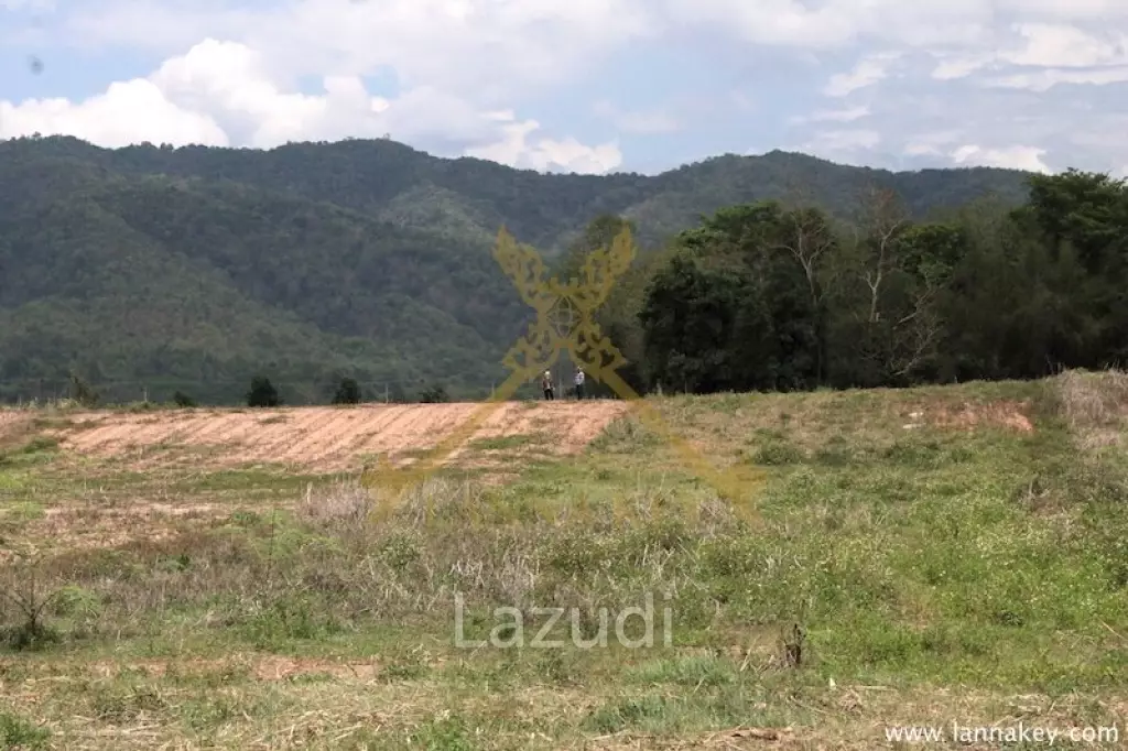 120 rai of Land in Chiang Khong for Sale