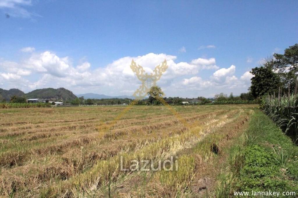 64 Rai of Land in Chiang Rai for Sale