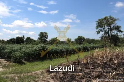 64 Rai of Land in Chiang Rai for Sale