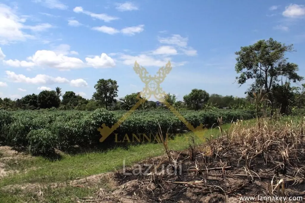 64 Rai of Land in Chiang Rai for Sale