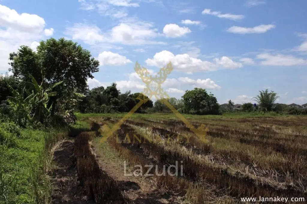 64 Rai of Land in Chiang Rai for Sale