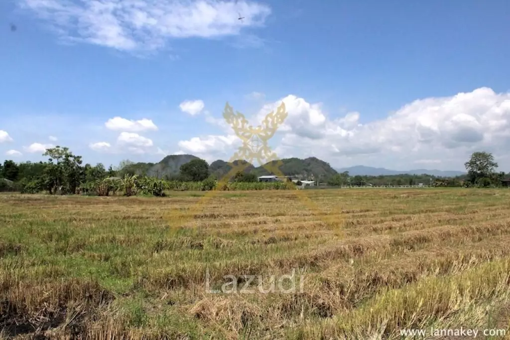 64 Rai of Land in Chiang Rai for Sale