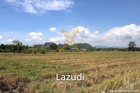 64 Rai of Land in Chiang Rai for Sale