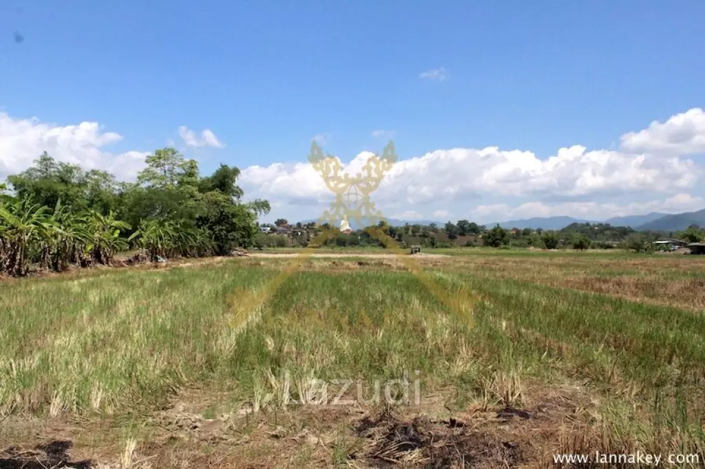 64 Rai of Land in Chiang Rai for Sale
