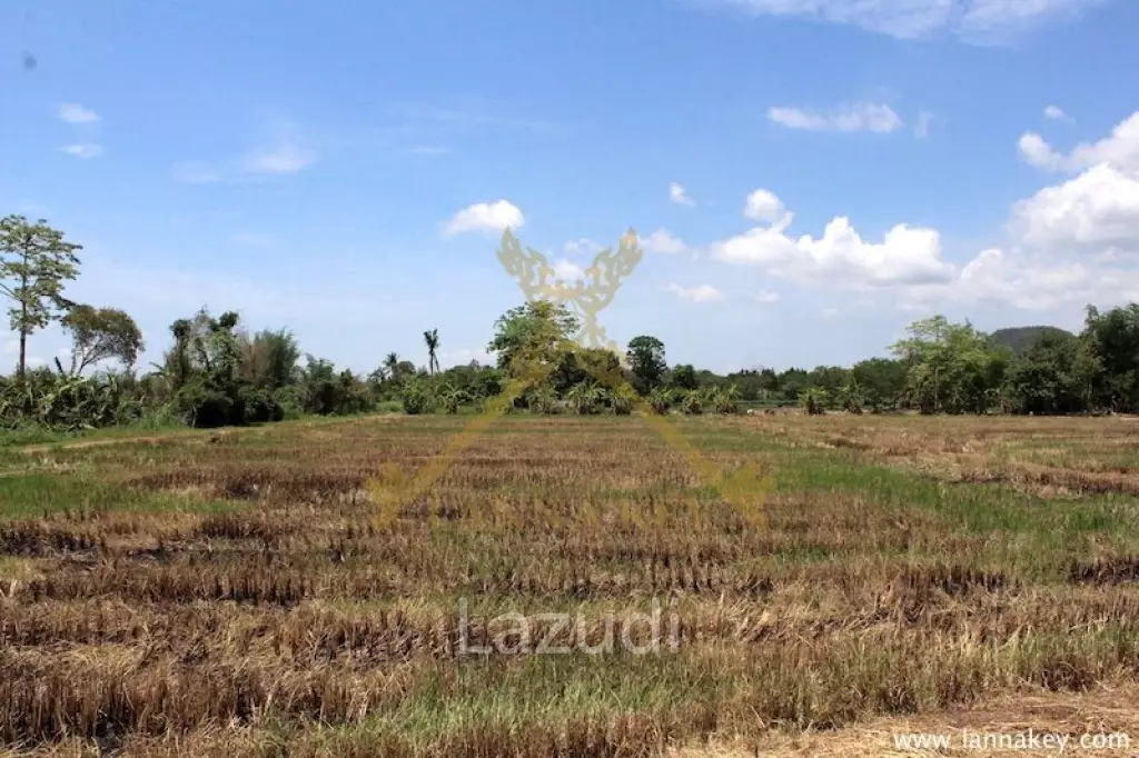 64 Rai of Land in Chiang Rai for Sale