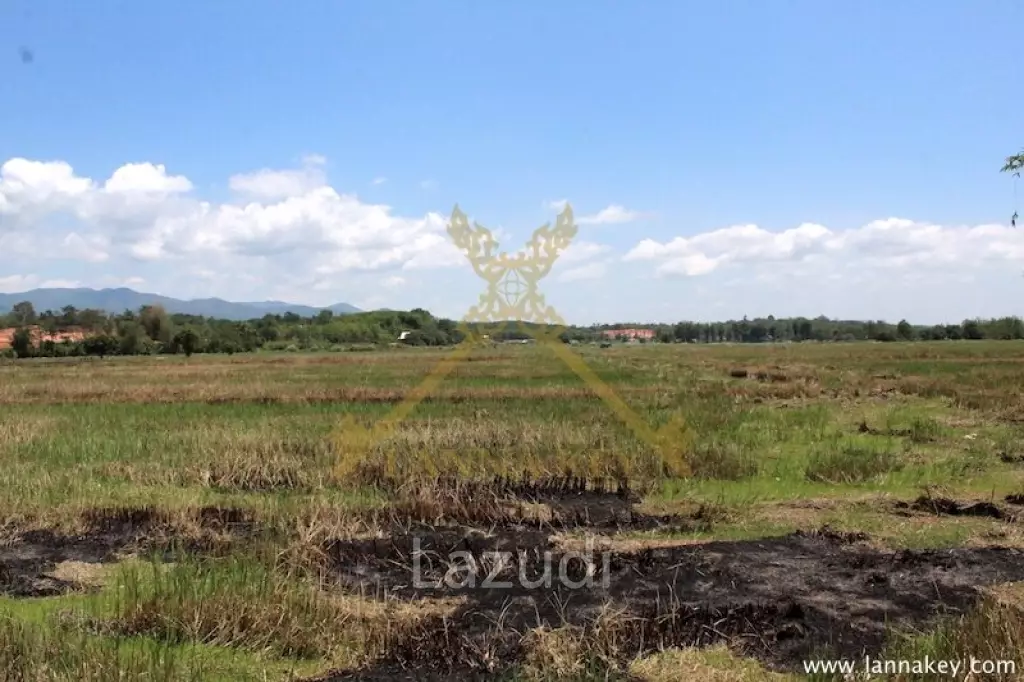 64 Rai of Land in Chiang Rai for Sale