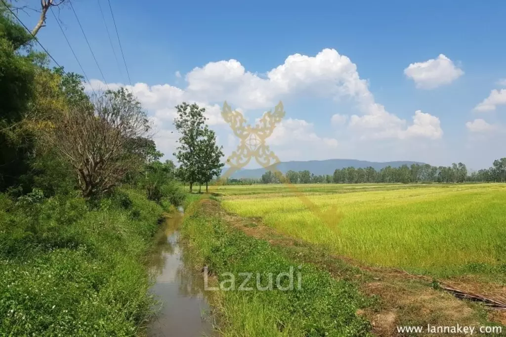 8 Rai of Land in Wiang Chiang Rung for Sale
