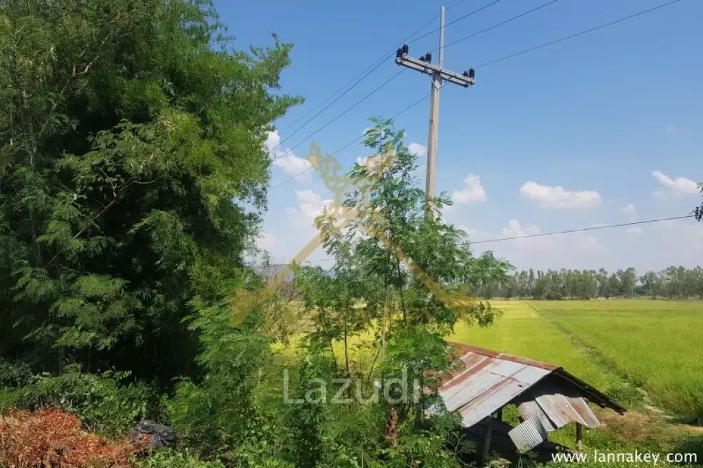 8 Rai of Land in Wiang Chiang Rung for Sale