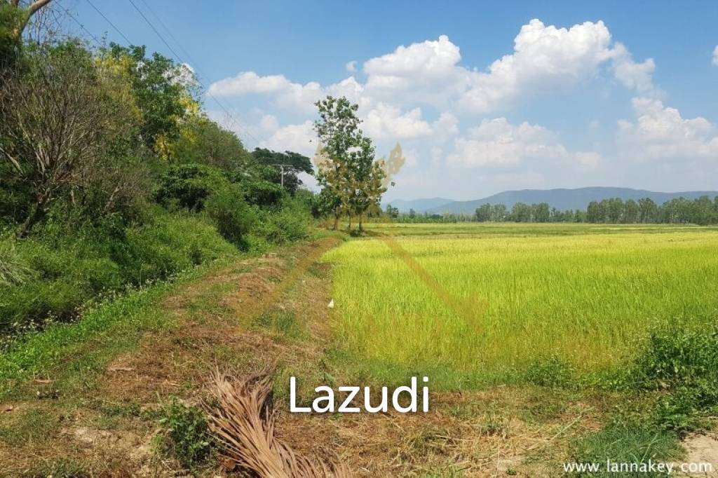 8 Rai of Land in Wiang Chiang Rung for Sale