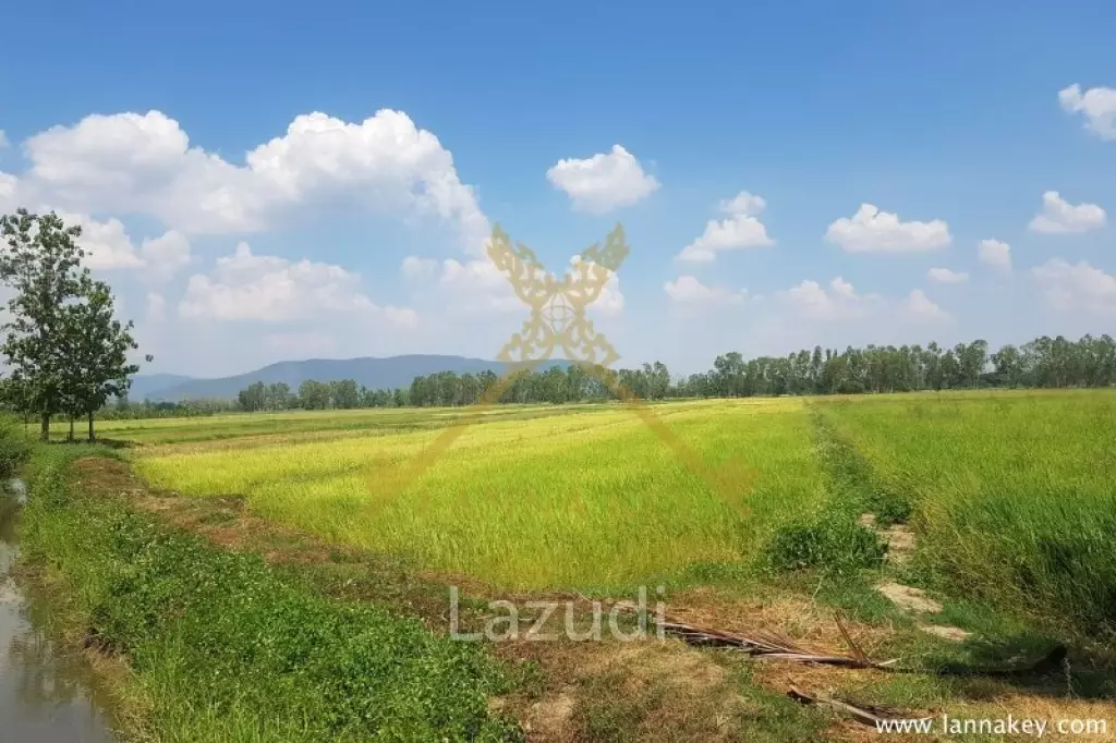 8 Rai of Land in Wiang Chiang Rung for Sale