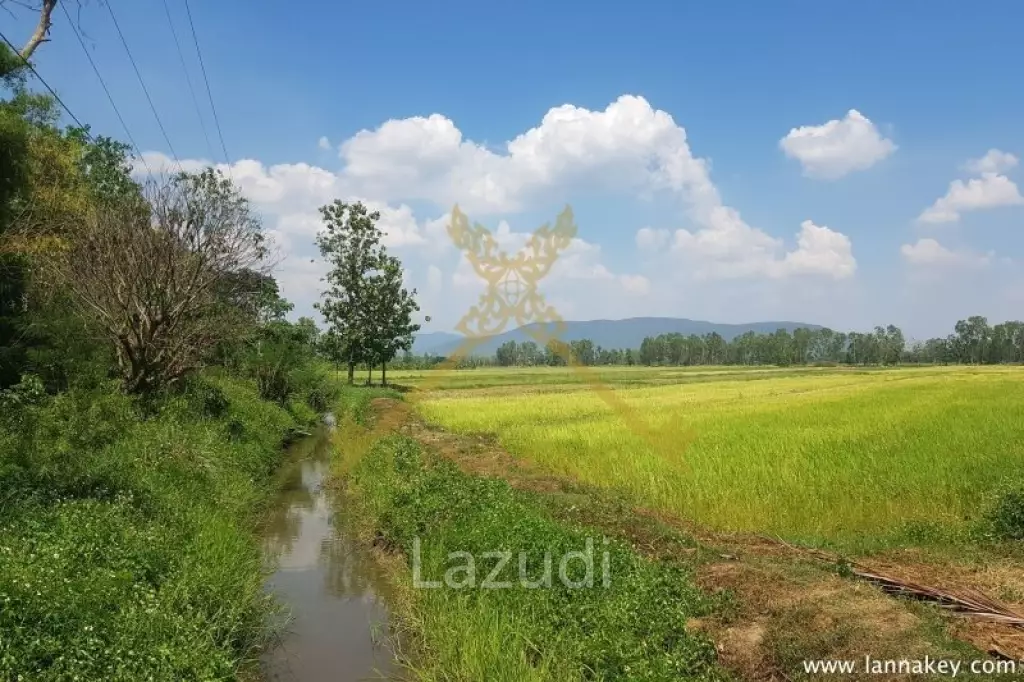 8 Rai of Land in Wiang Chiang Rung for Sale