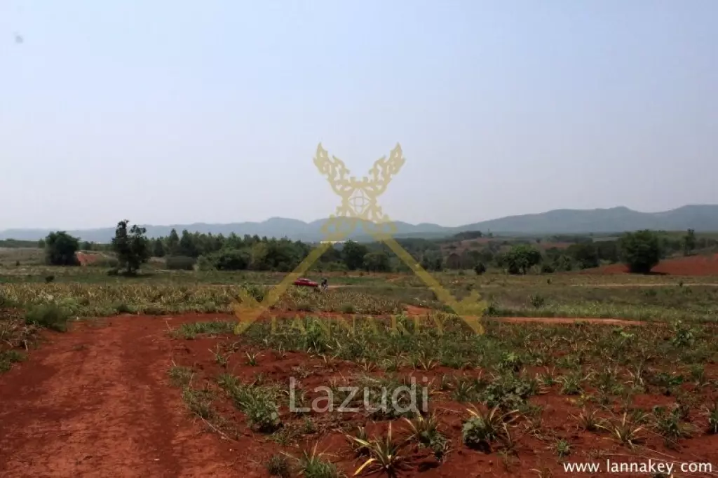 168 rai of Land in Mae Chan for Sale