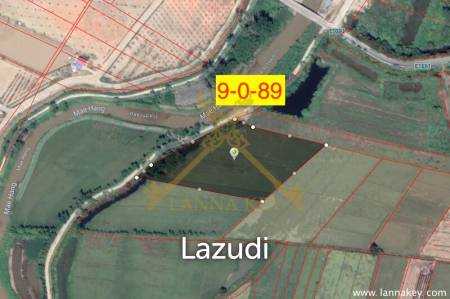 9 Rai of Land in Wiang Chiang Rung for Sale