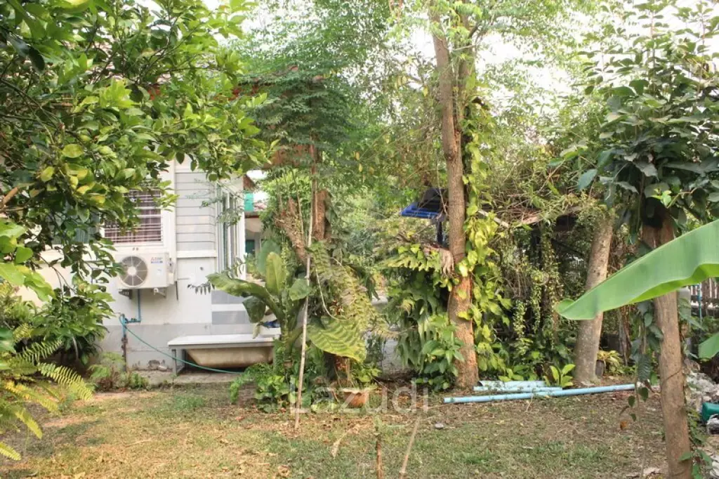 Riverside House in Chiang Rai for SALE
