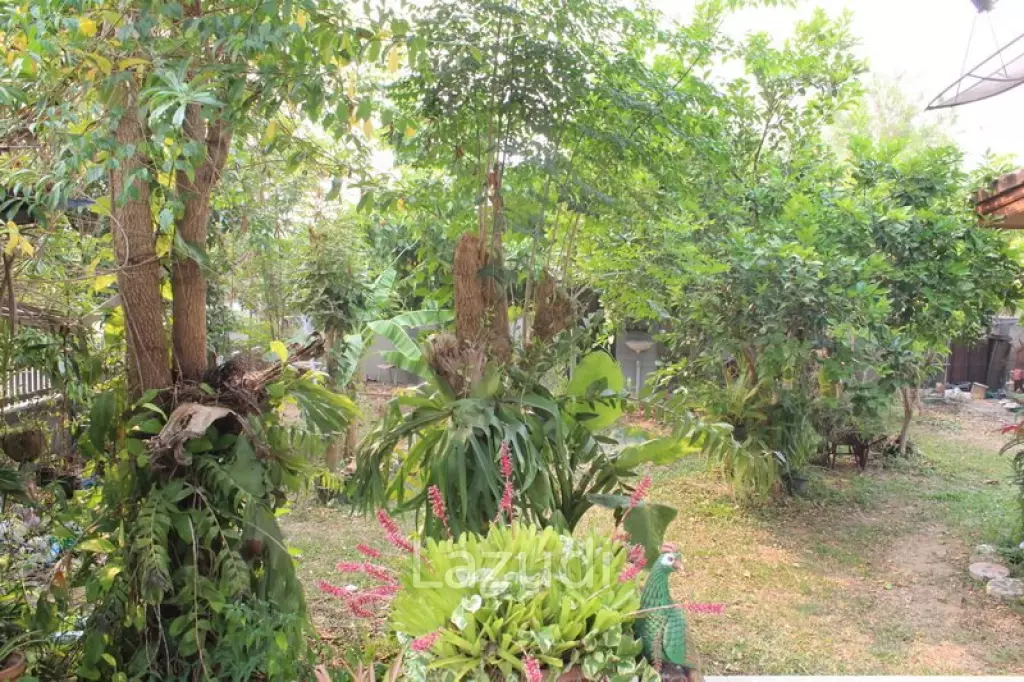 Riverside House in Chiang Rai for SALE