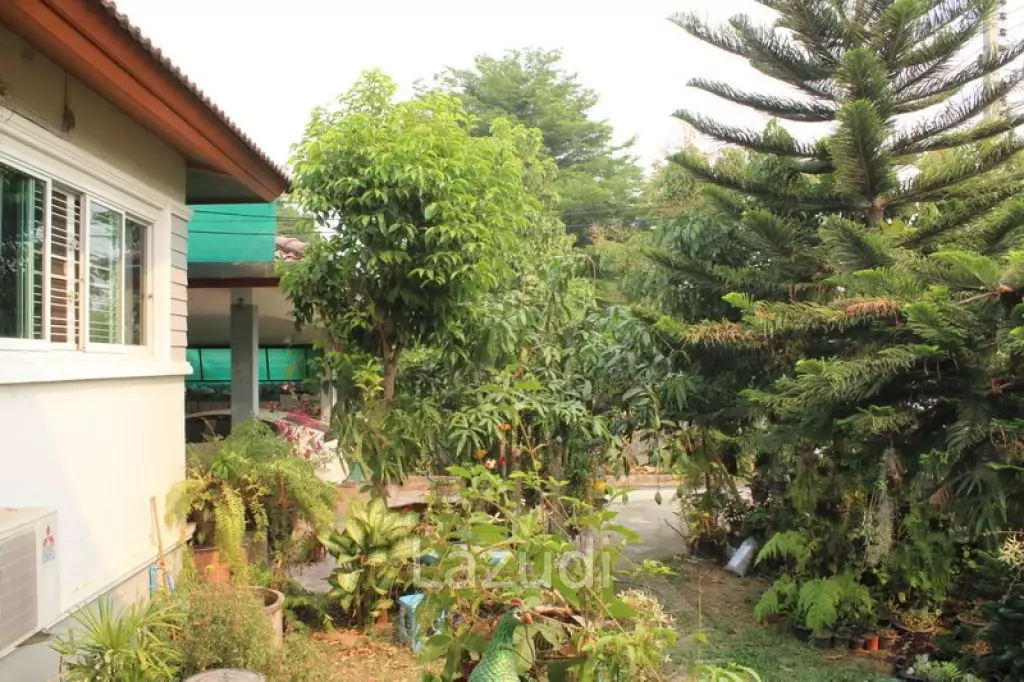 Riverside House in Chiang Rai for SALE