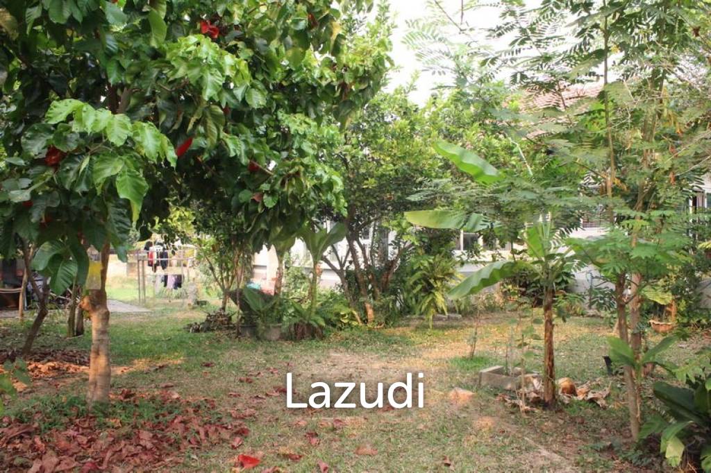 Riverside House in Chiang Rai for SALE