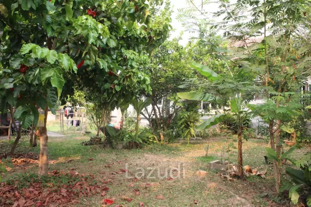 Riverside House in Chiang Rai for SALE