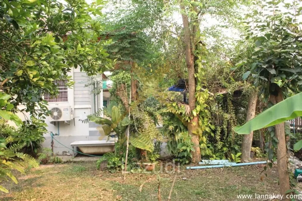 Riverside House in Chiang Rai for SALE