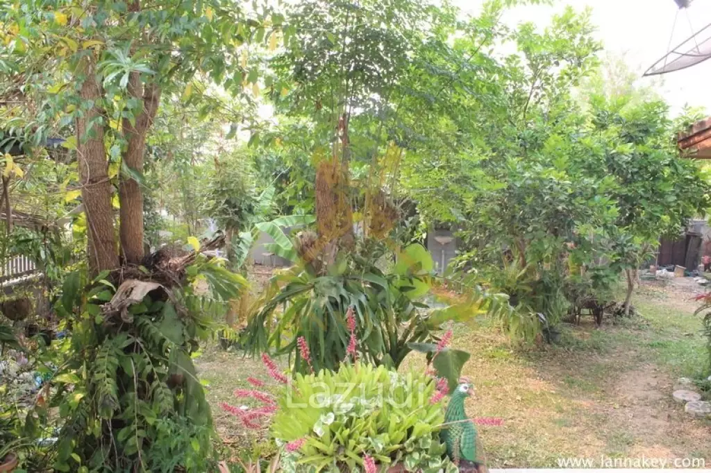 Riverside House in Chiang Rai for SALE