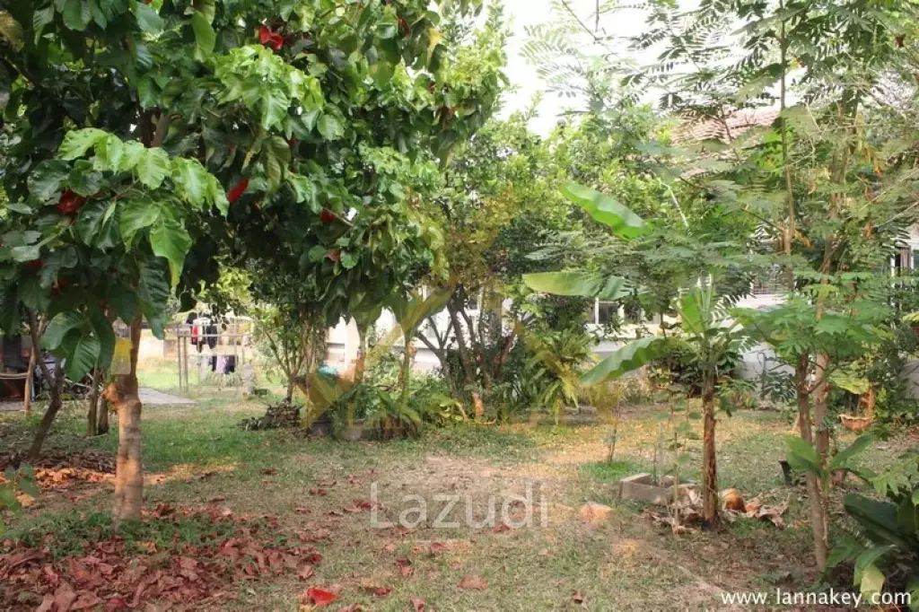 Riverside House in Chiang Rai for SALE
