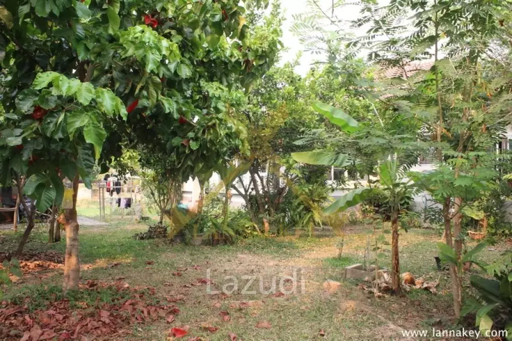 Riverside House in Chiang Rai for SALE