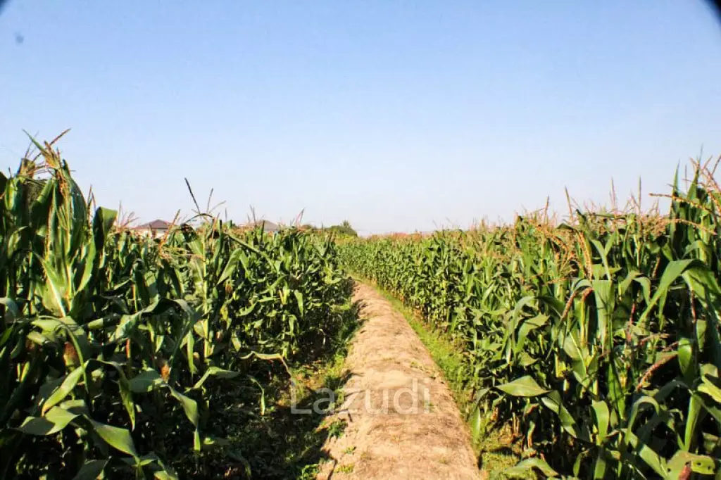 Good location Land for Sale